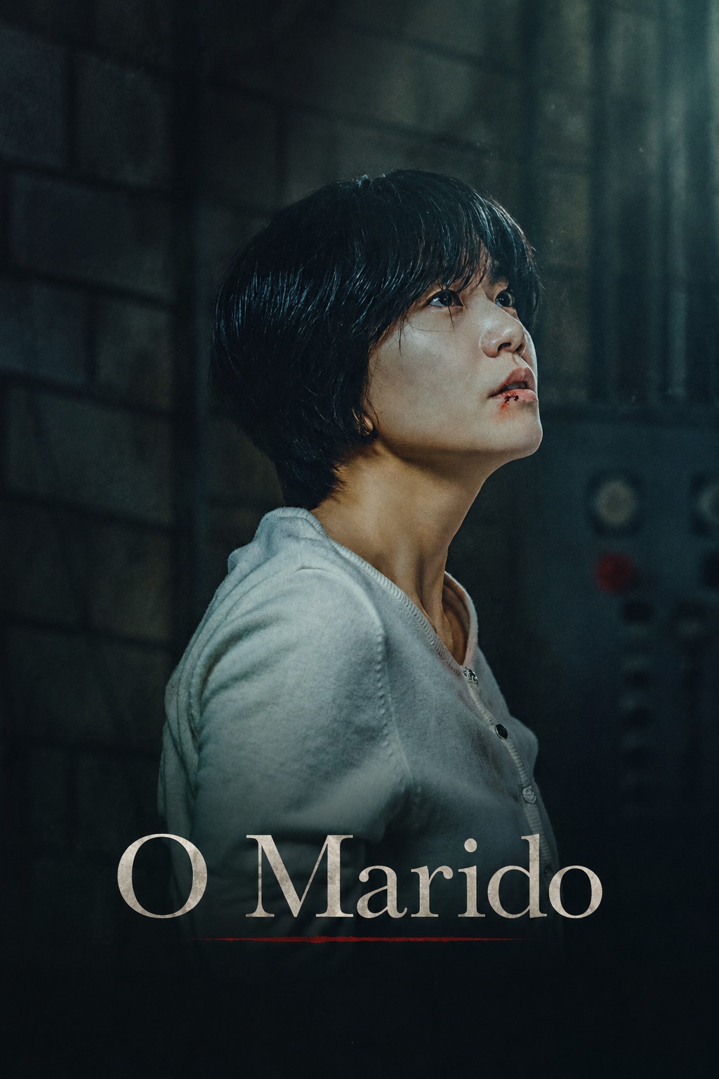 Pôster editorial de O Marido